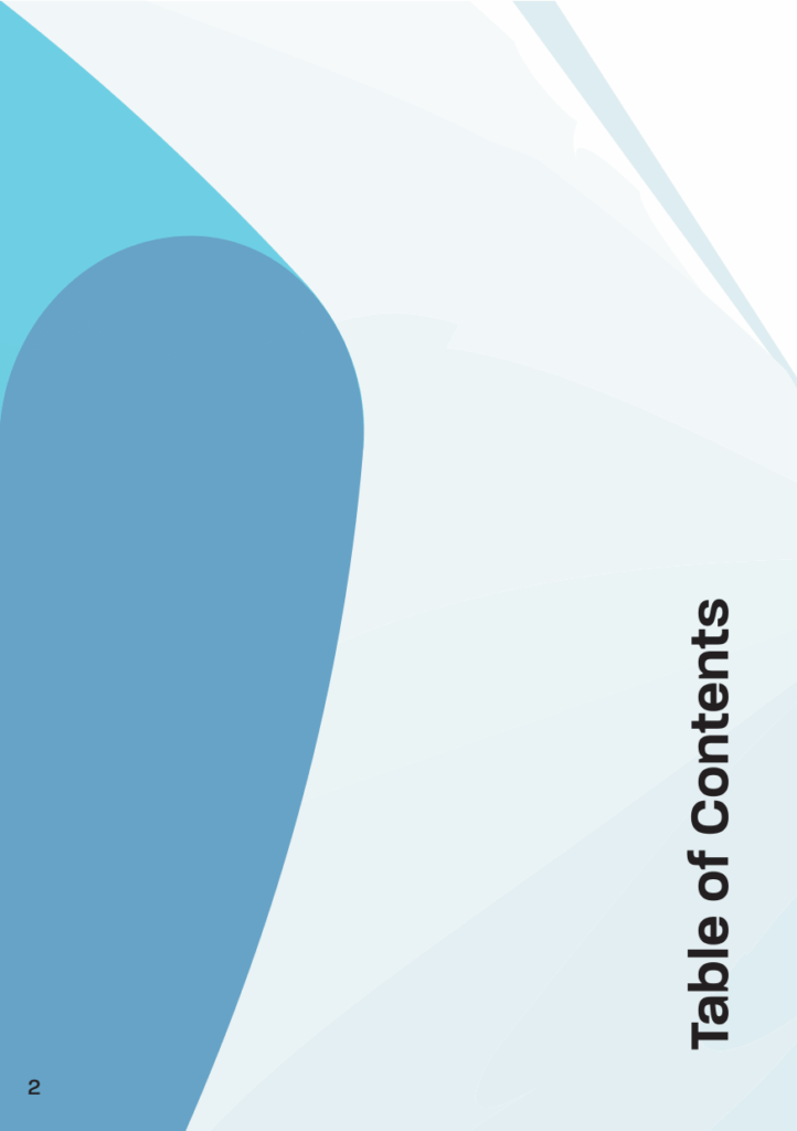 Integration of Blockchain Technology Brochure Extract2 1 The AM to PM Wellbeing Service