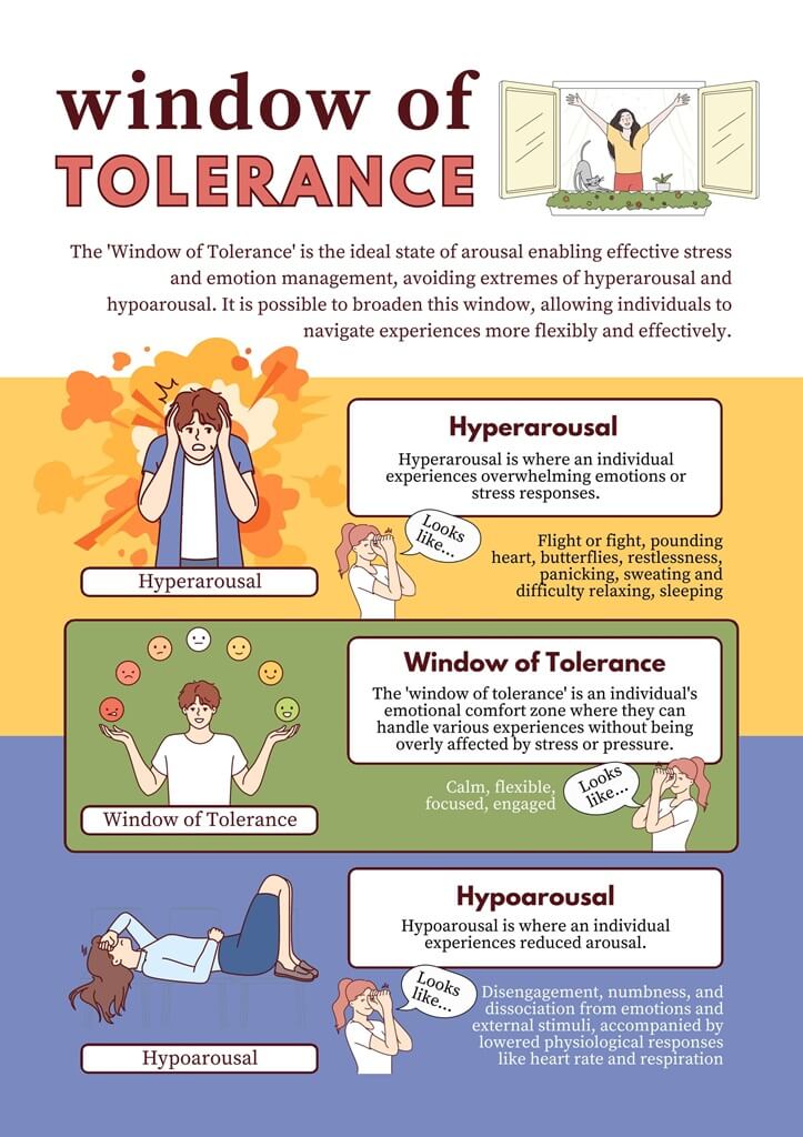 Emotion Regulation Window of Tolerance Educational Poster in Pastel Clean Style 1 1 The AM to PM Wellbeing Service
